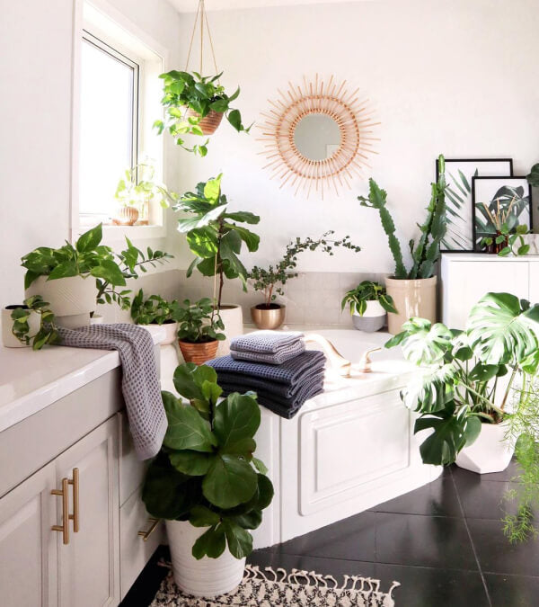 White bathroom with LOTS of plants